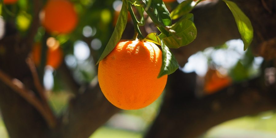 Maandlijstje: het leukste, liefste en lekkerste van april 2018