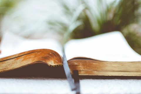 Uitgelichte afbeelding van opengeslagen boek